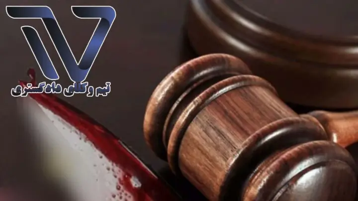 پیگیری قتل امیرمحمدخالقی